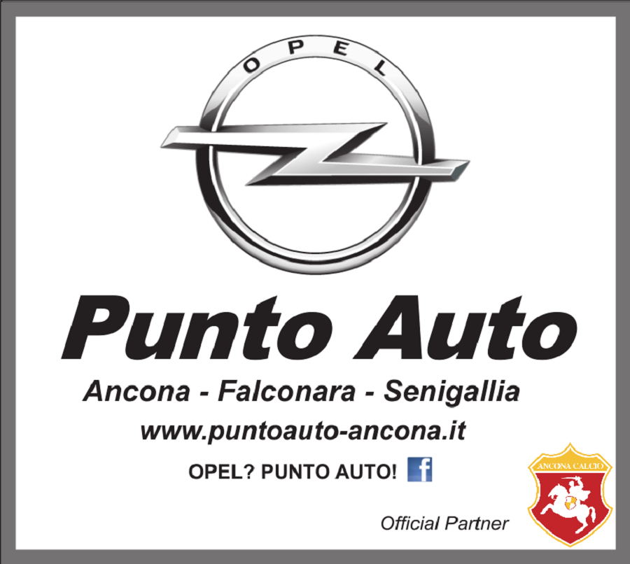 24 punto auto